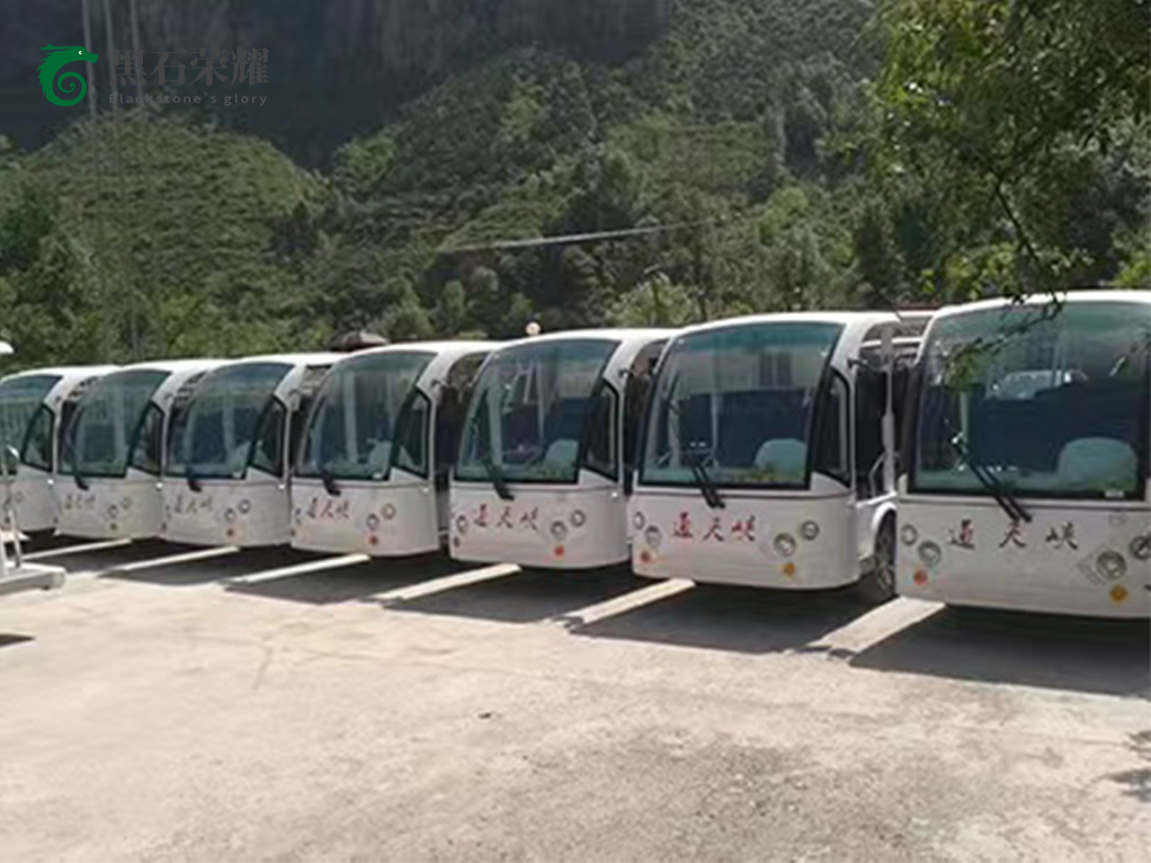 电动观光车景区用系列
