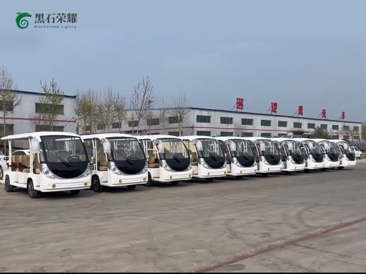 电动观光车景区用系列