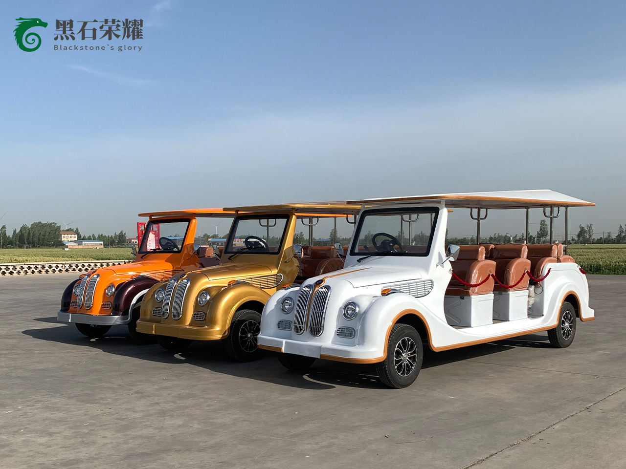 电动观光车老爷车系列
