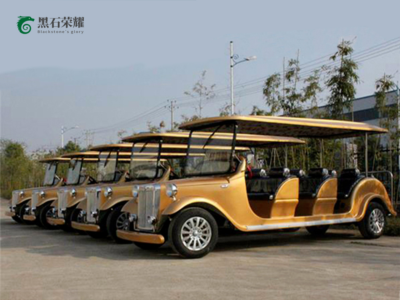 电动观光车老爷车系列