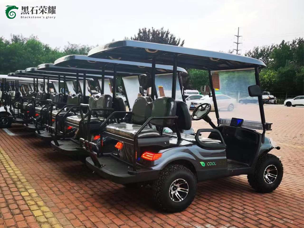 电动高尔夫球车