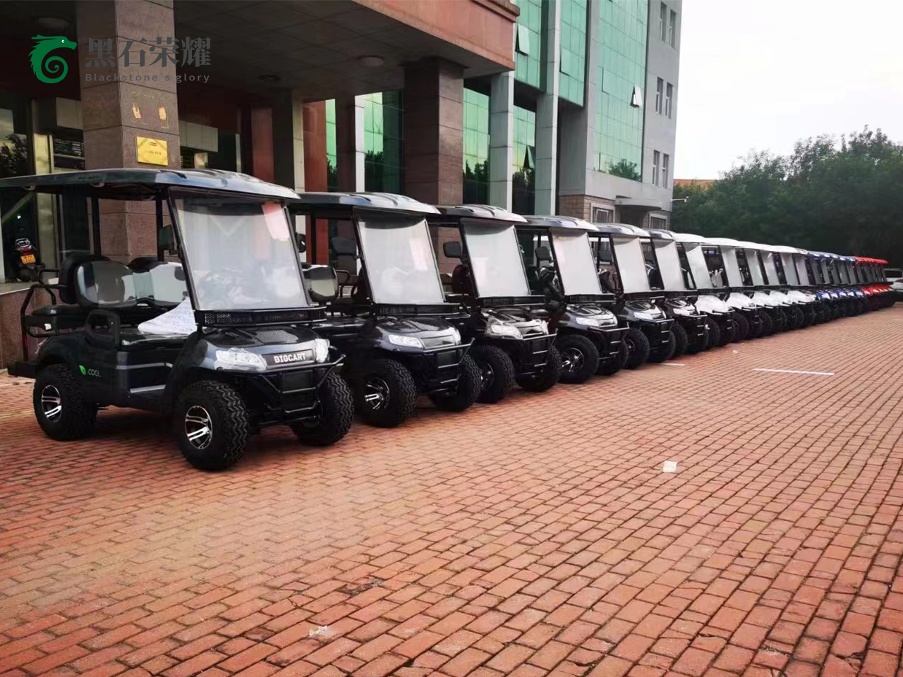 电动高尔夫球车