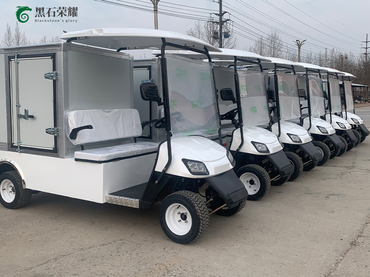 电动高尔夫球车