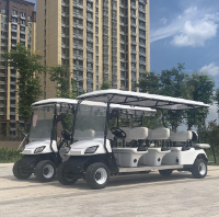 电瓶电动巡逻车